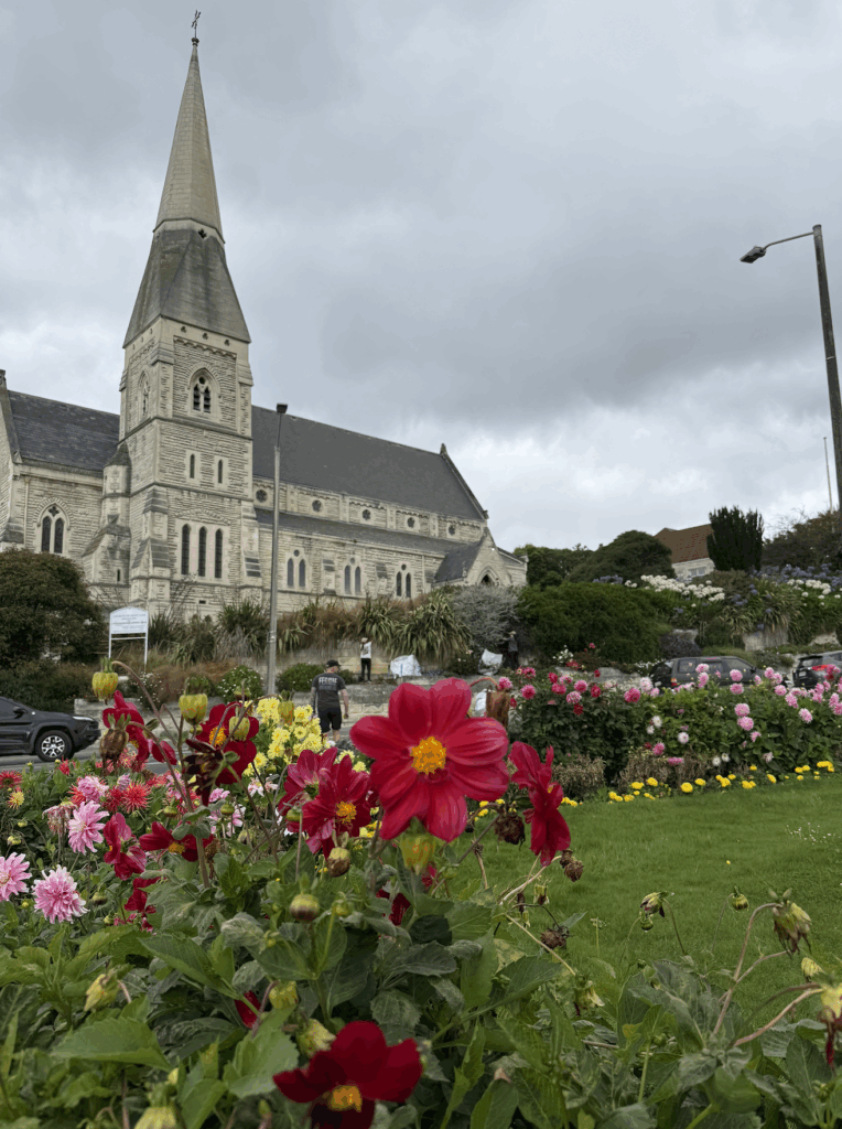 oamaru blue penguin colony worth it? 